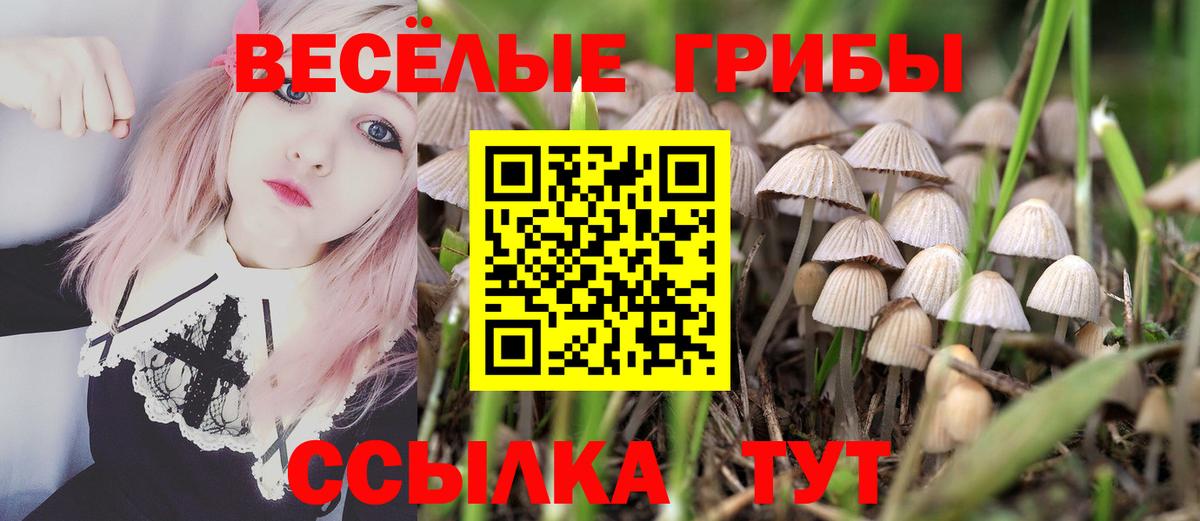 как найти закладки  Вход с VPN  Галлюциногенные грибы Cubensis  Нарткала  Галлюциногенные грибы Cubensis 